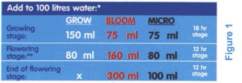 Advanced Hydroponics Dutch Formula Bloom 1l